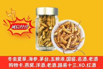 信阳罗山县回收散虫草