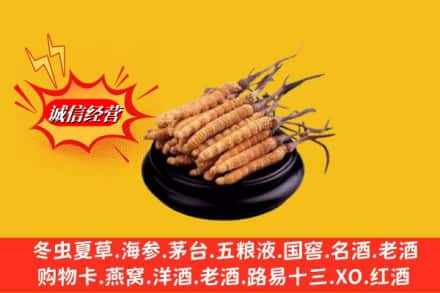 信阳罗山县求购回收虫草多少钱每克